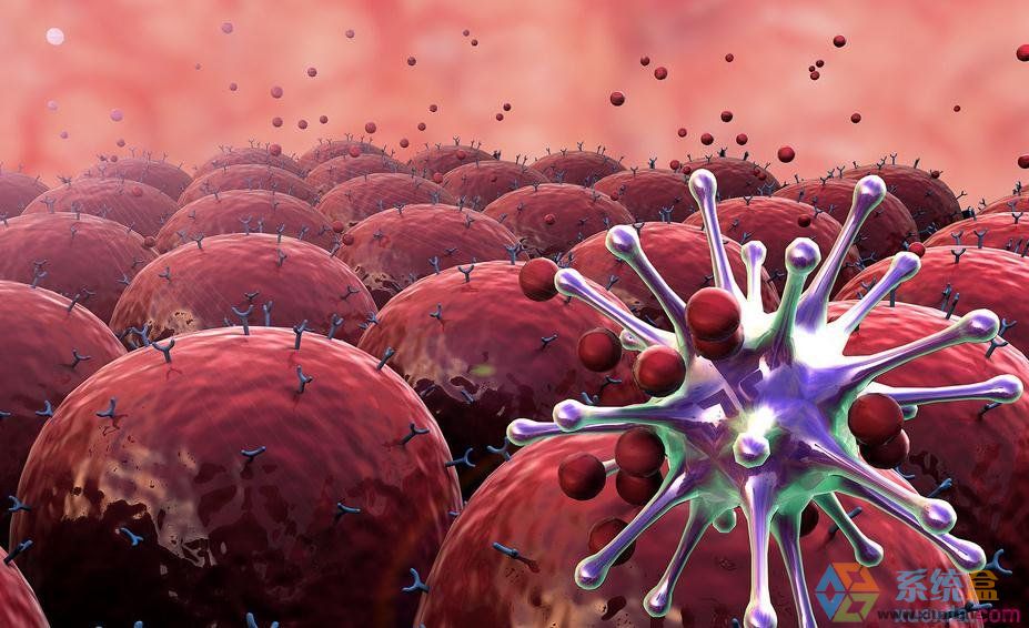 潘多拉病毒危害_一张查杀过计算机病毒的u盘,其中不可能再有病毒_计算机病毒的危害性是