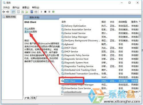 Win10除了Edge以外的浏览器都不能上网怎么办？